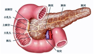 胰腺癌最新治疗进展与策略综述