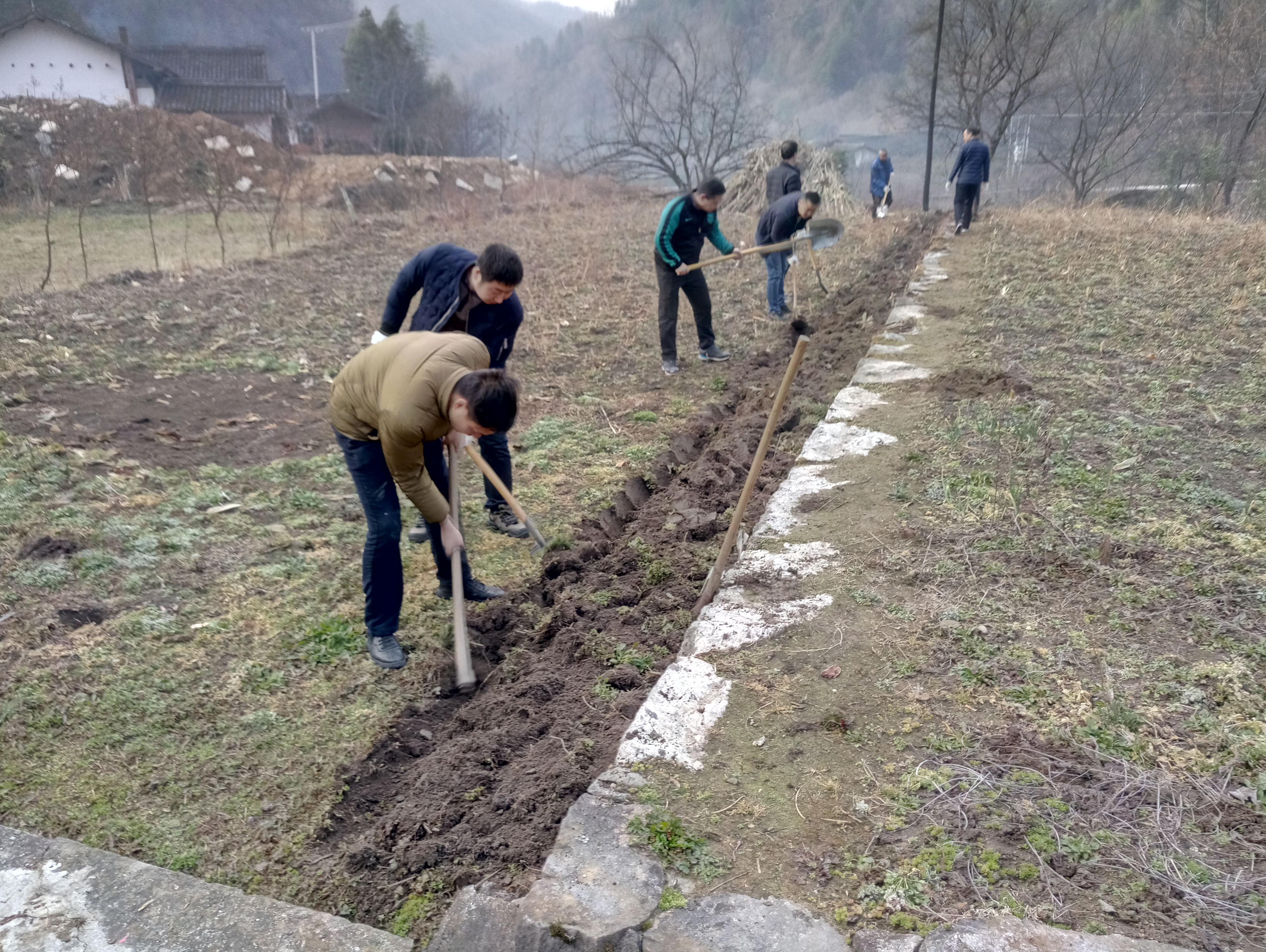 佛坪县康复事业单位最新动态报道