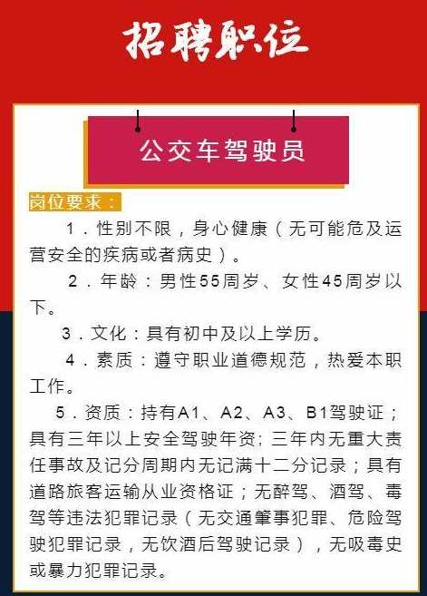 沈阳司机招聘热潮，职业前景与机遇深度解析