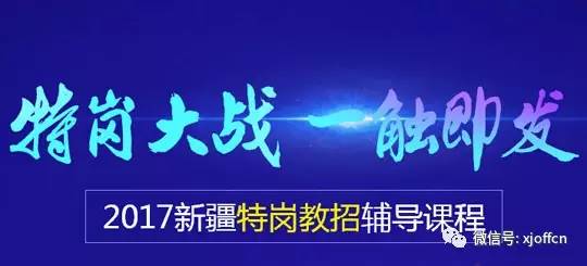 新疆最新招聘动态，热门行业与职位探寻职场新机遇