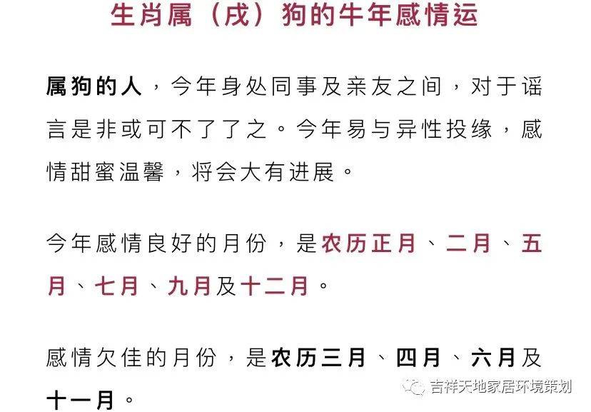 今晚必开什么生肖,批判性解析落实措施_苹果集15.648