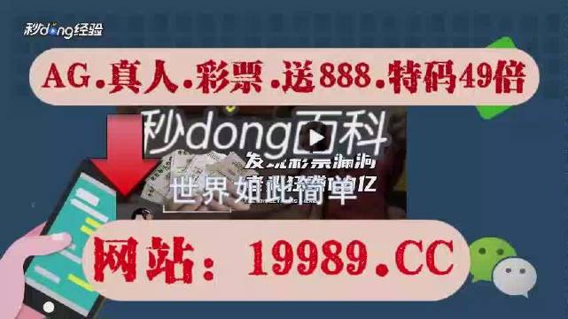 2024澳门六今晚开奖记录,动态解析词汇_Q83.808